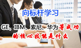 向標桿學習：卓越企業成功之道